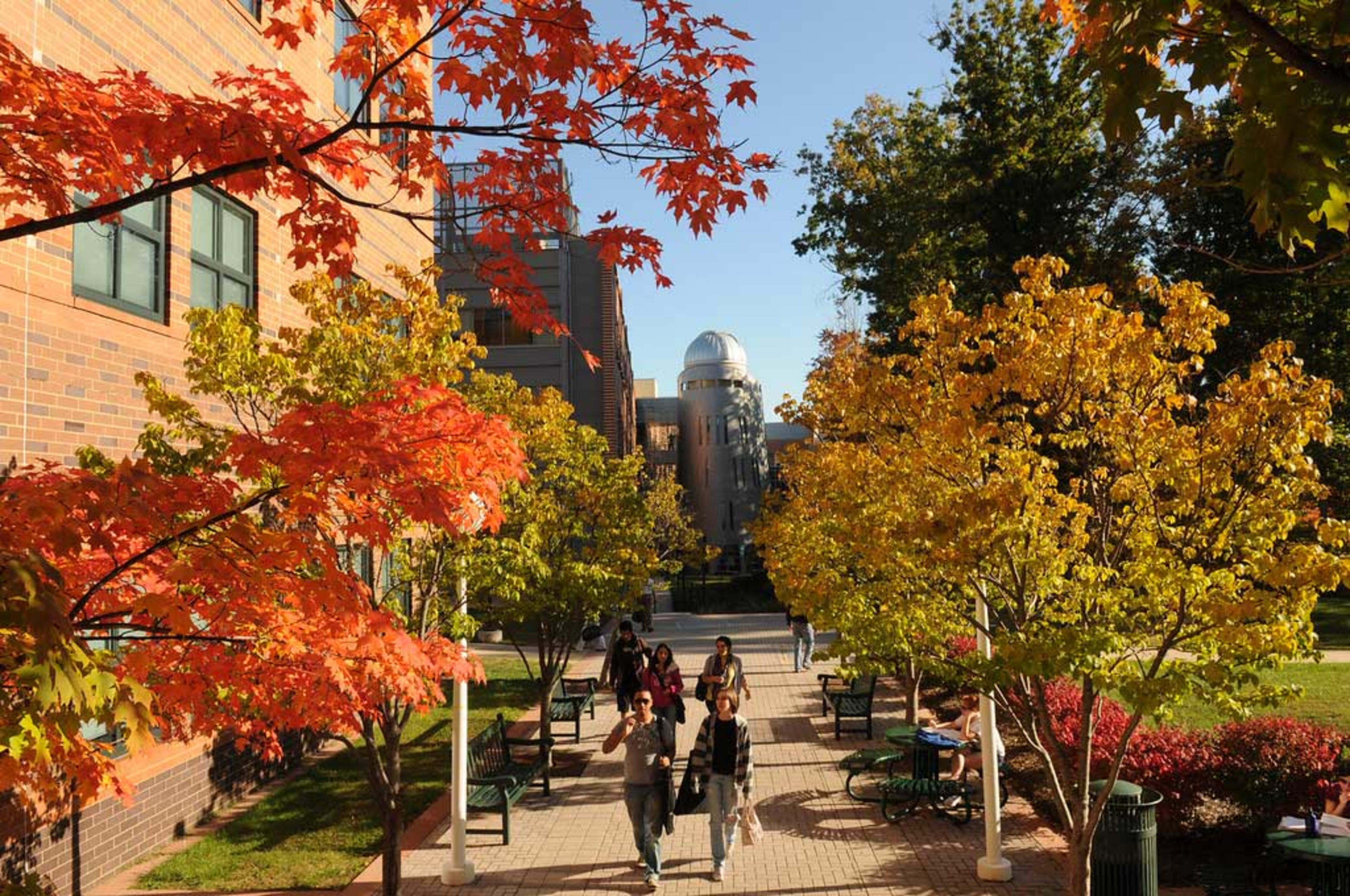 Trees change color on campus at George Mason University