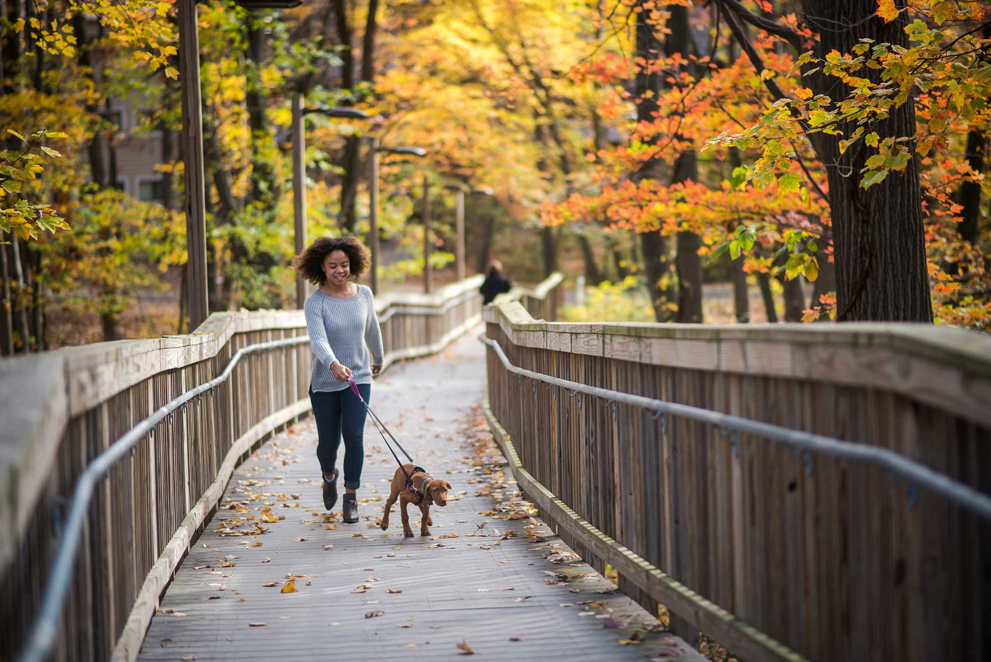 Living in Fairfax Virginia, George Mason University, girl walking her dog