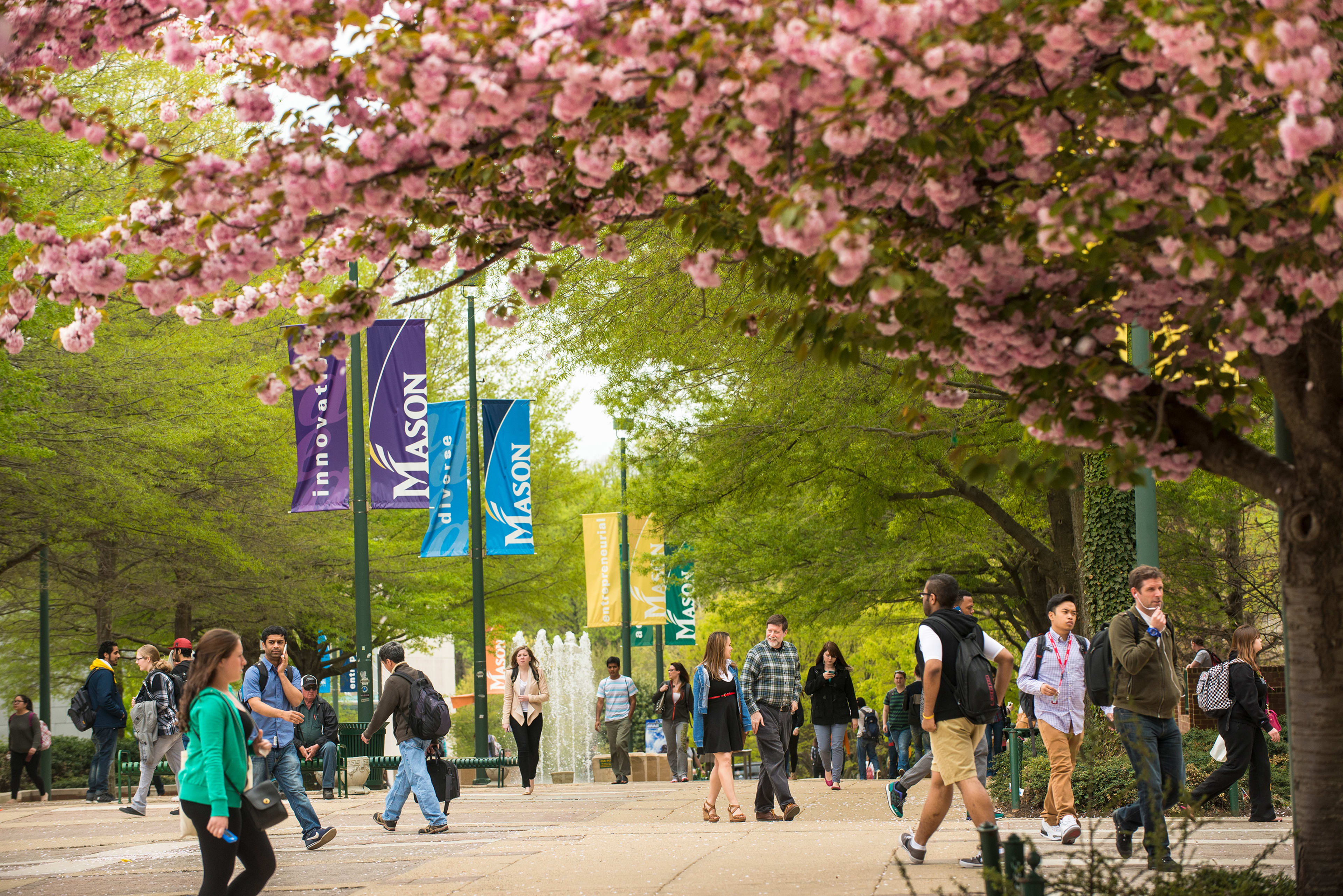 Mason campus exterior with blossom trees
