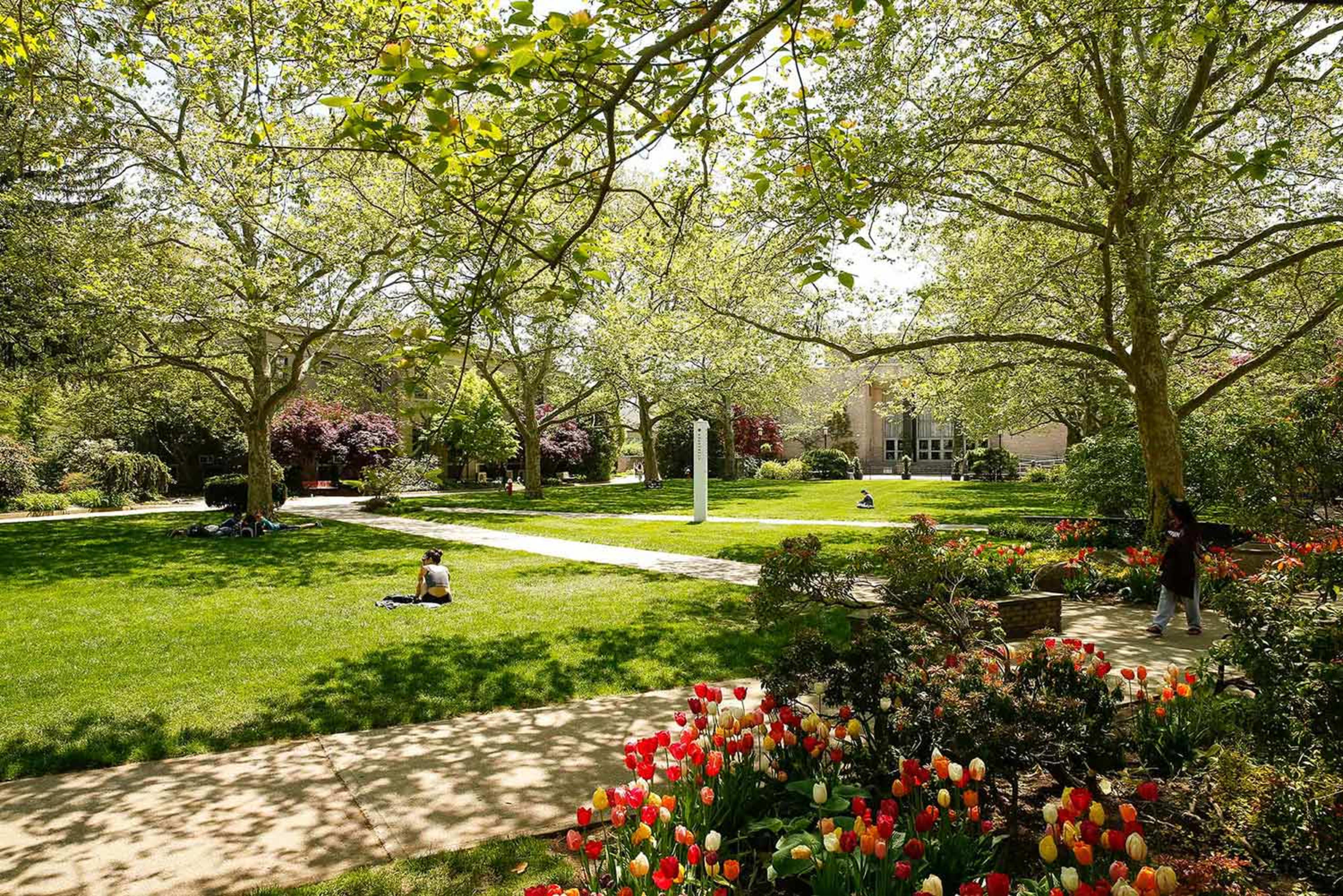 Campus life and city life, have it all at Hofstra