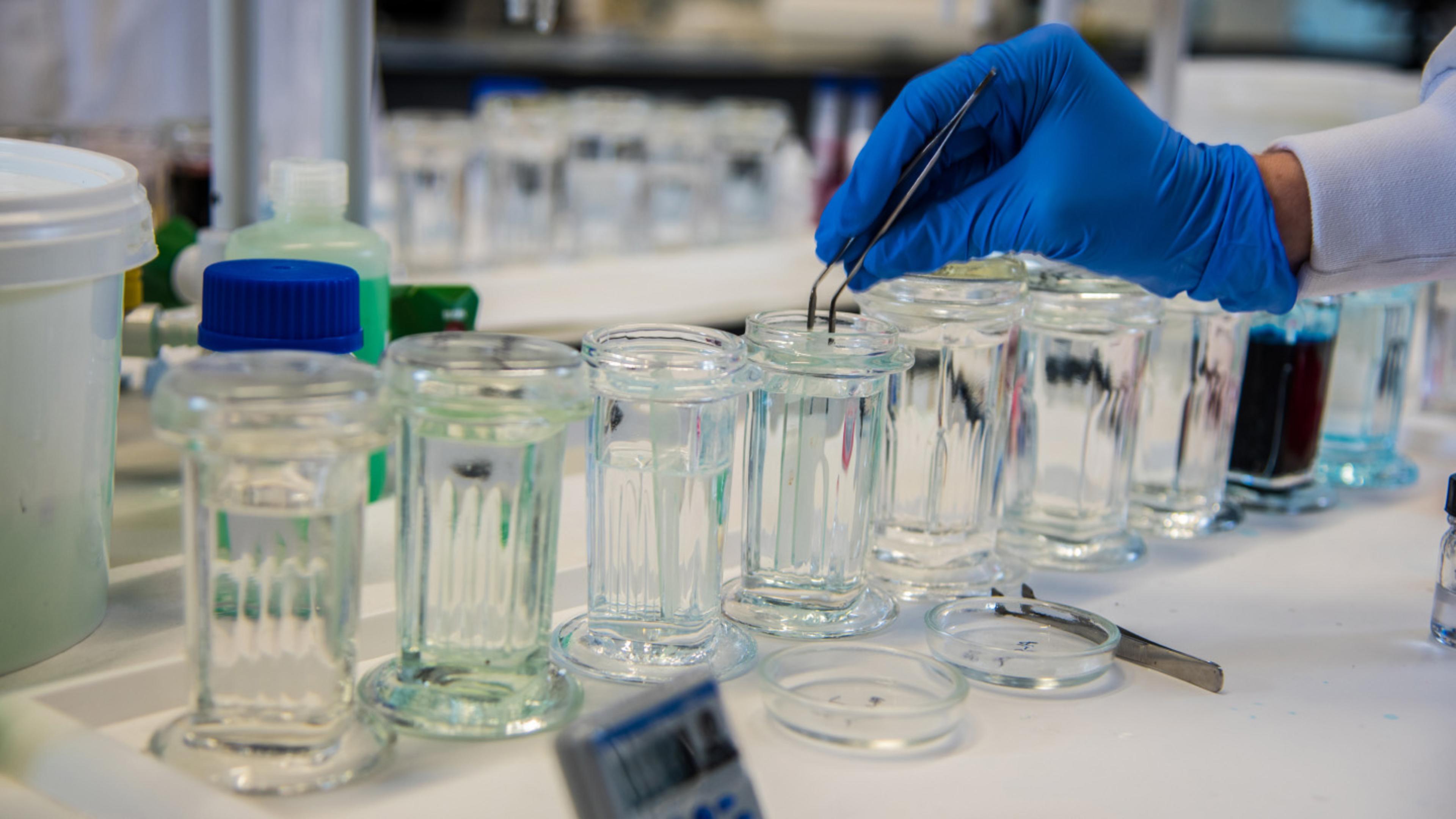 Image of glass vials