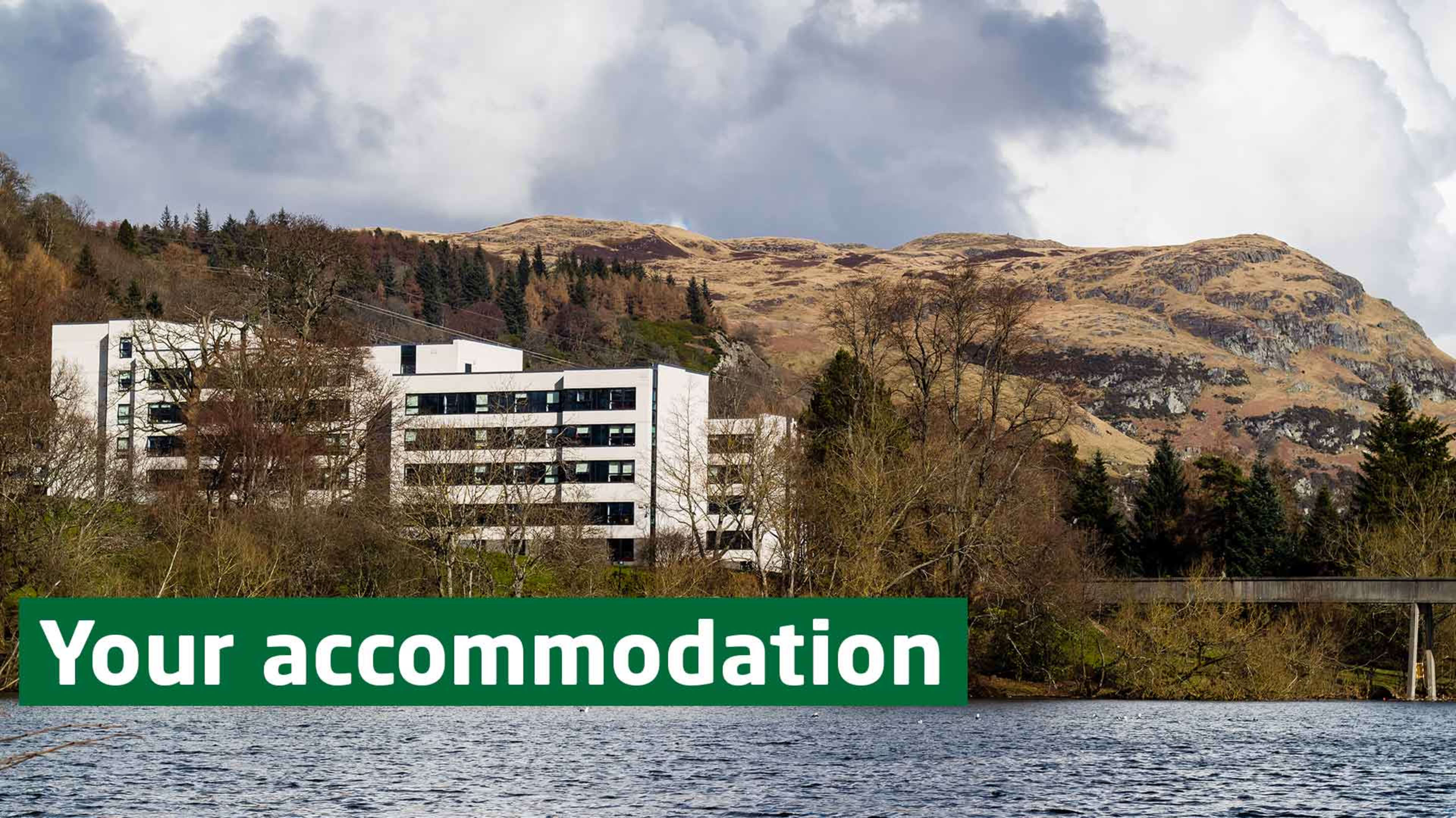 STS Your Accommodation