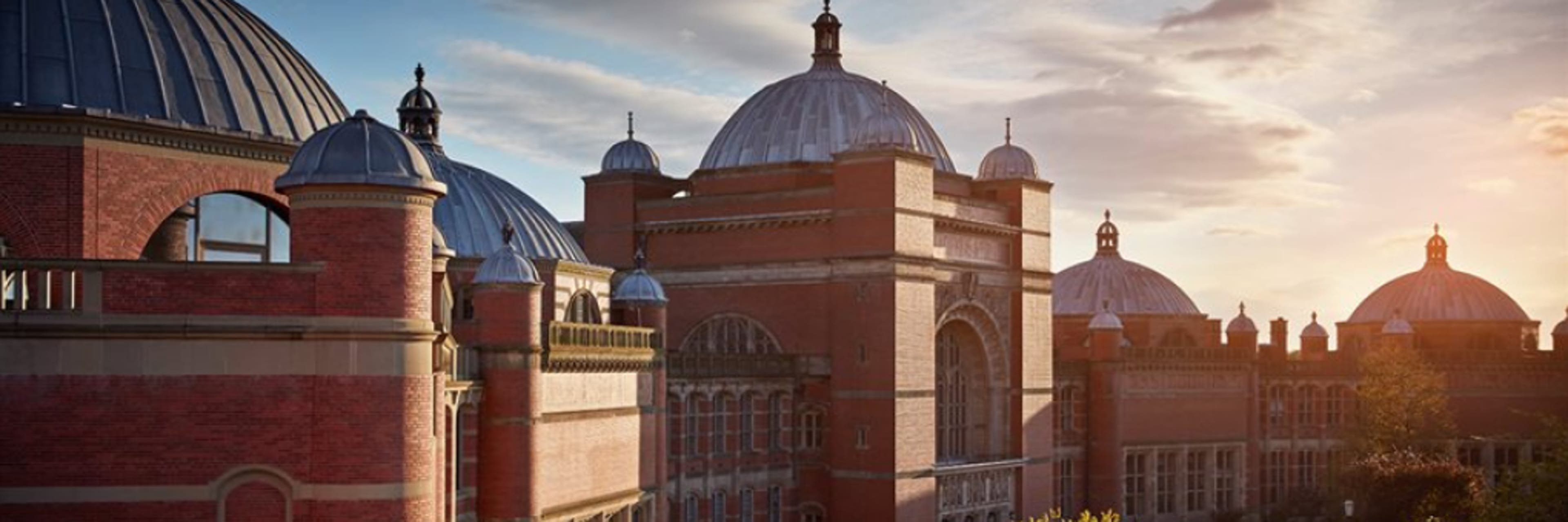 University of Birmingham - image