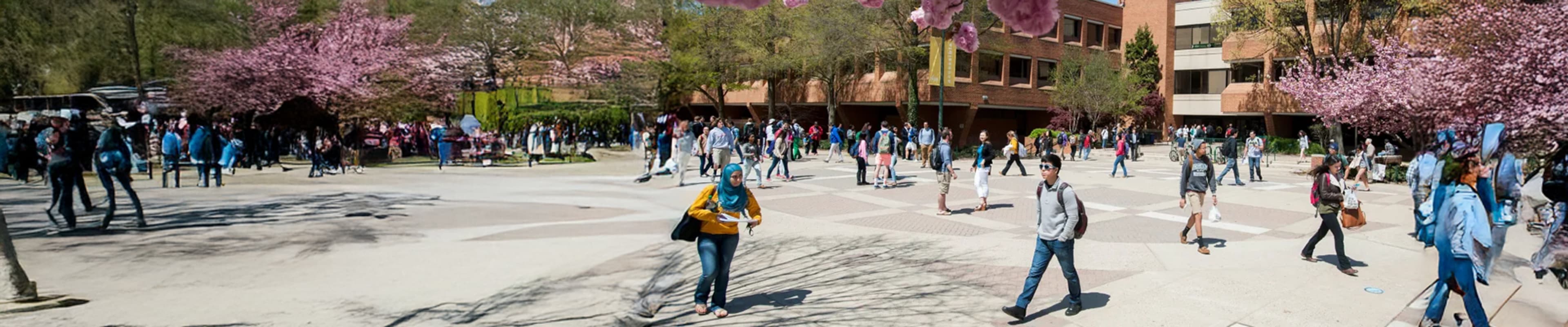 Students walking aeound