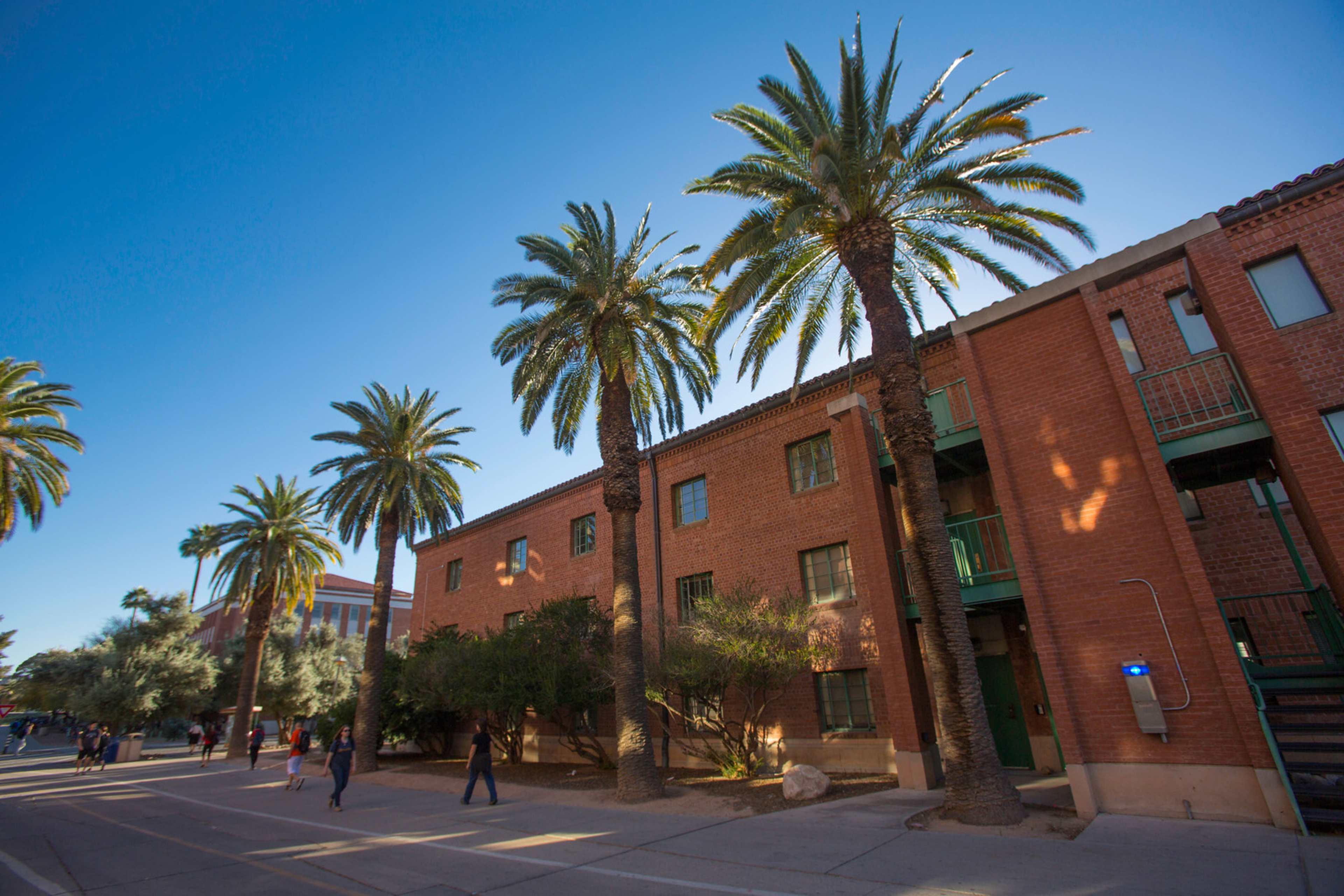 The building in a sunny day