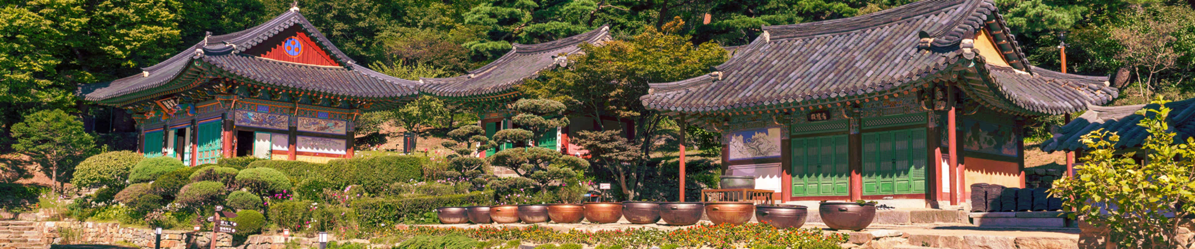 George Mason Korea Tuition and Scholarships