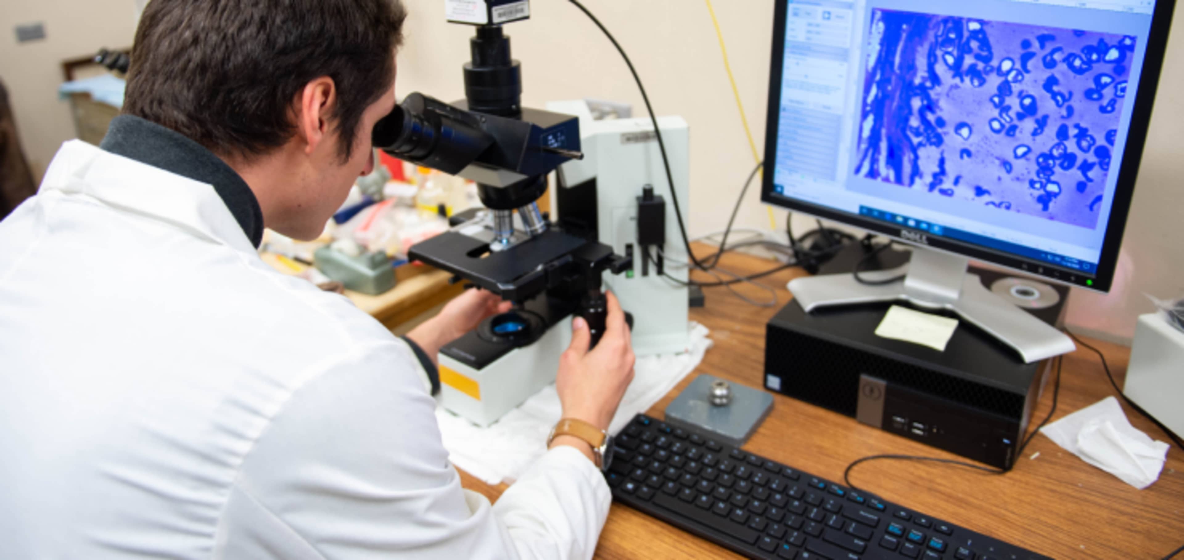 Undergraduate science student looking through microscope  
