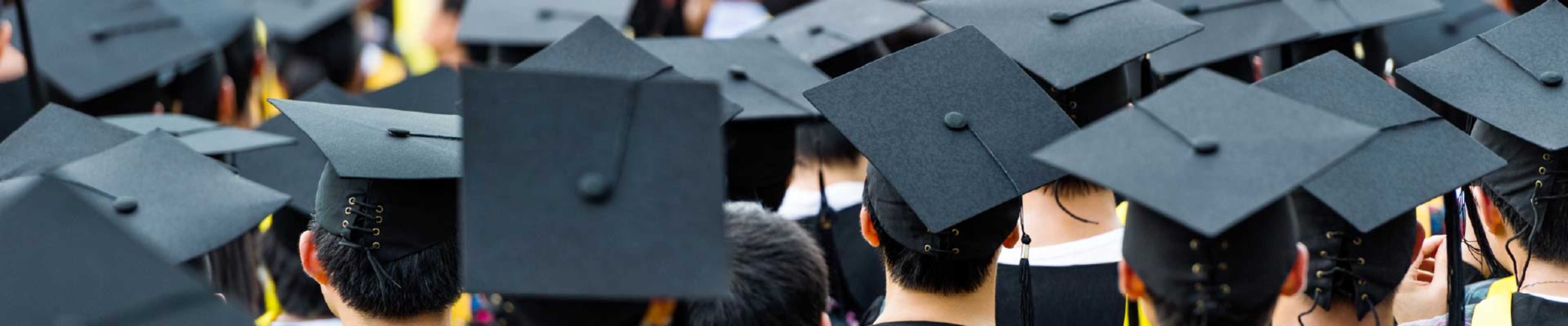 Graduate students with their back at the camera