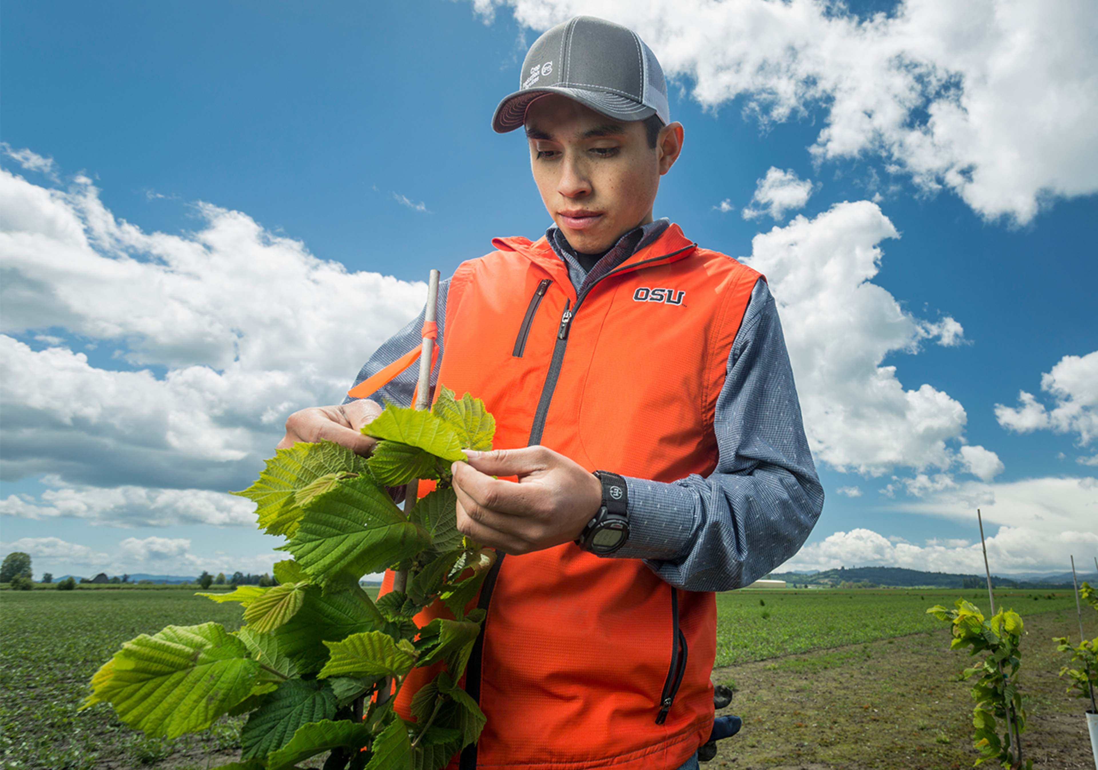 Earn while you learn