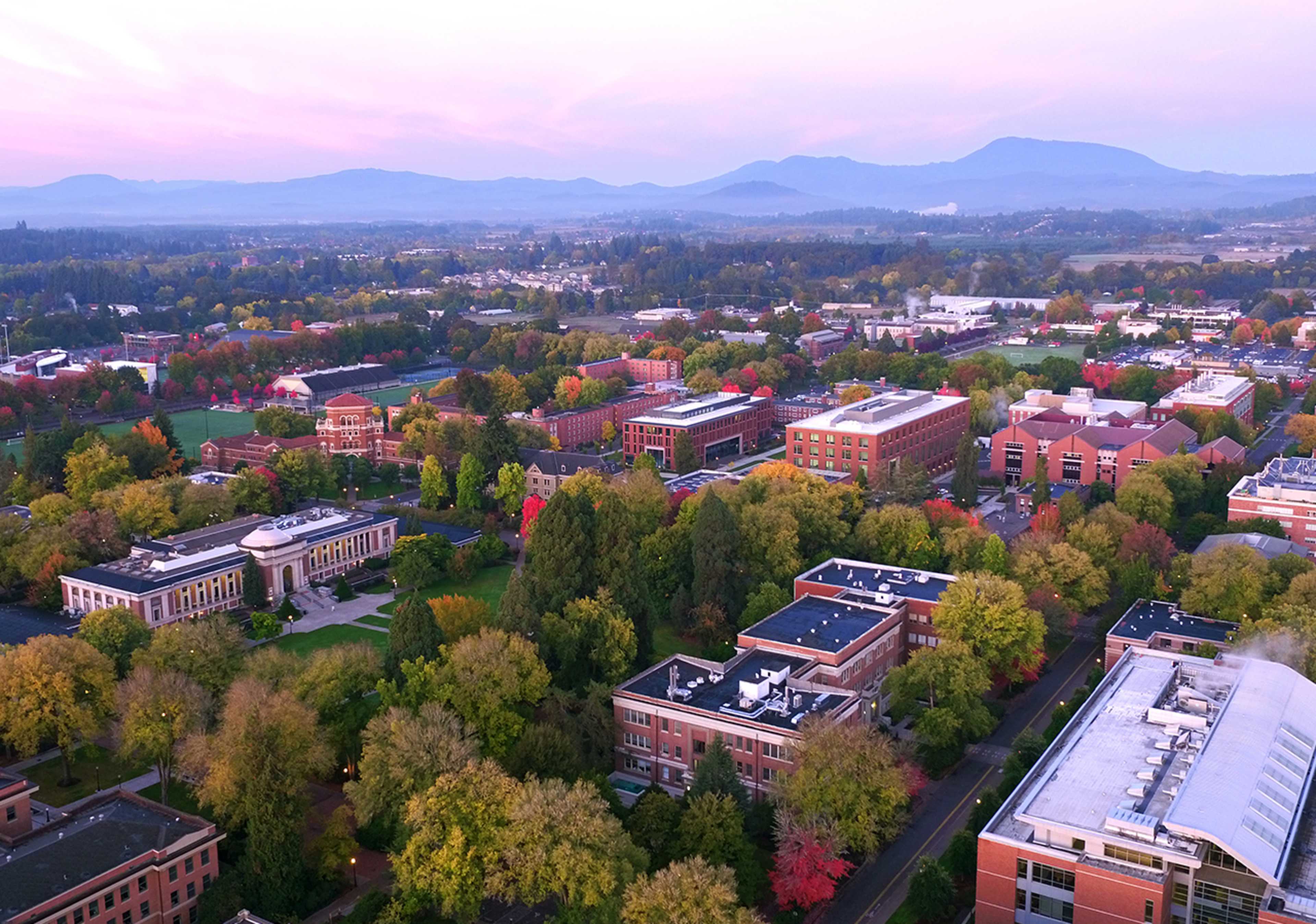 Convenient and accessible